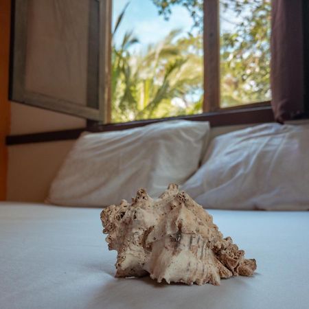 Uvita River Guesthouse Kültér fotó