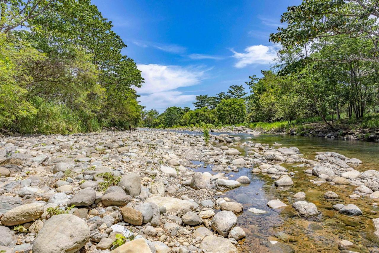 Uvita River Guesthouse Kültér fotó